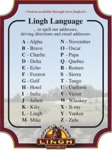 Lingh Language